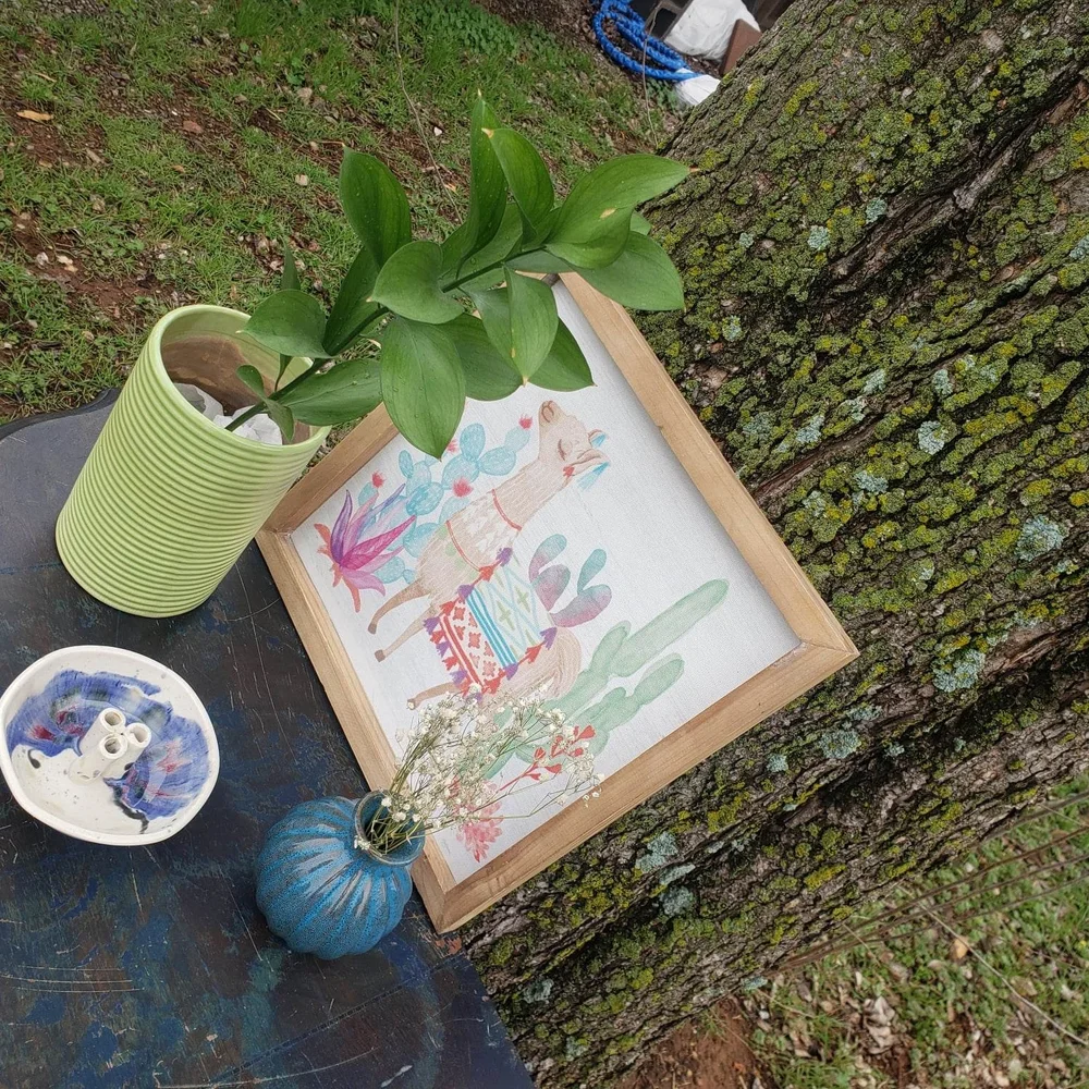 Green Ribbed Ceramic Planter - Picture 2 of 7